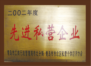 2002年度先進（jìn）私營企業